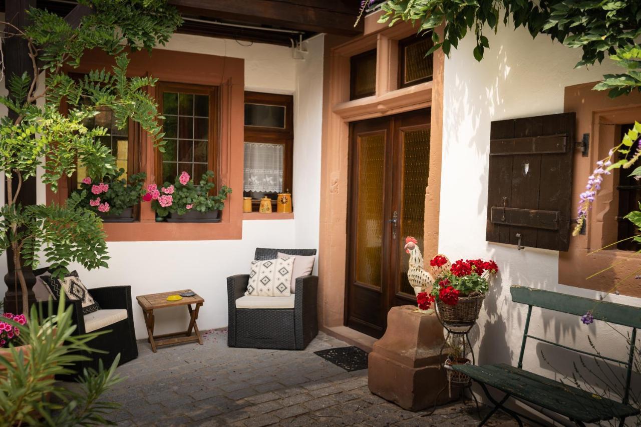 Maison Dietenbeck ウィッサンブール エクステリア 写真