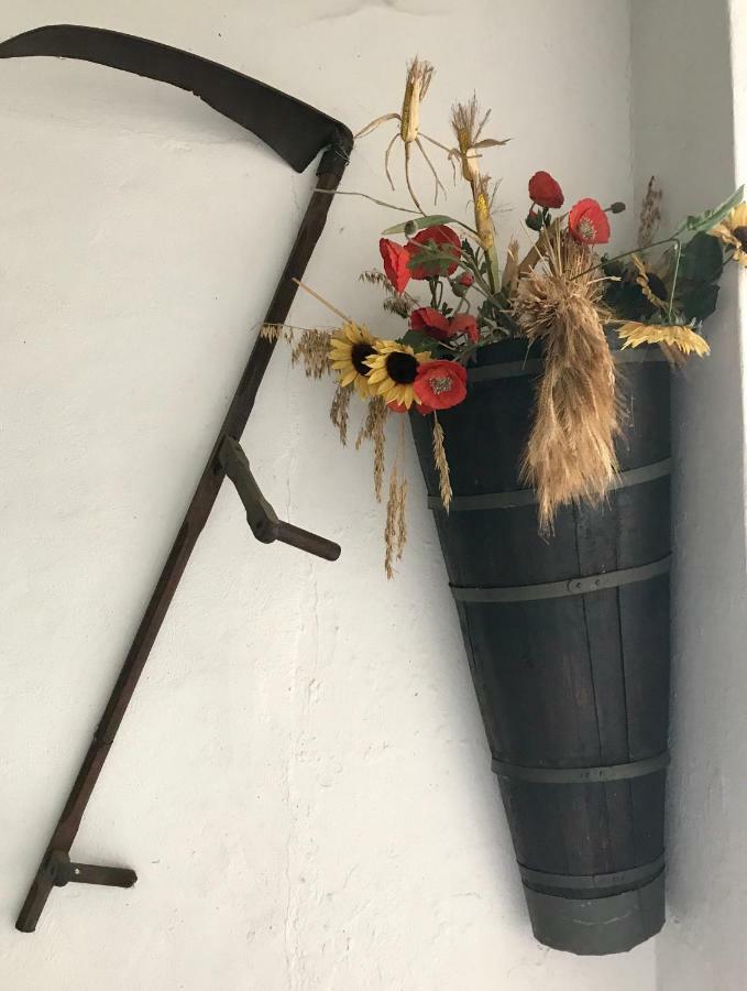 Maison Dietenbeck ウィッサンブール エクステリア 写真