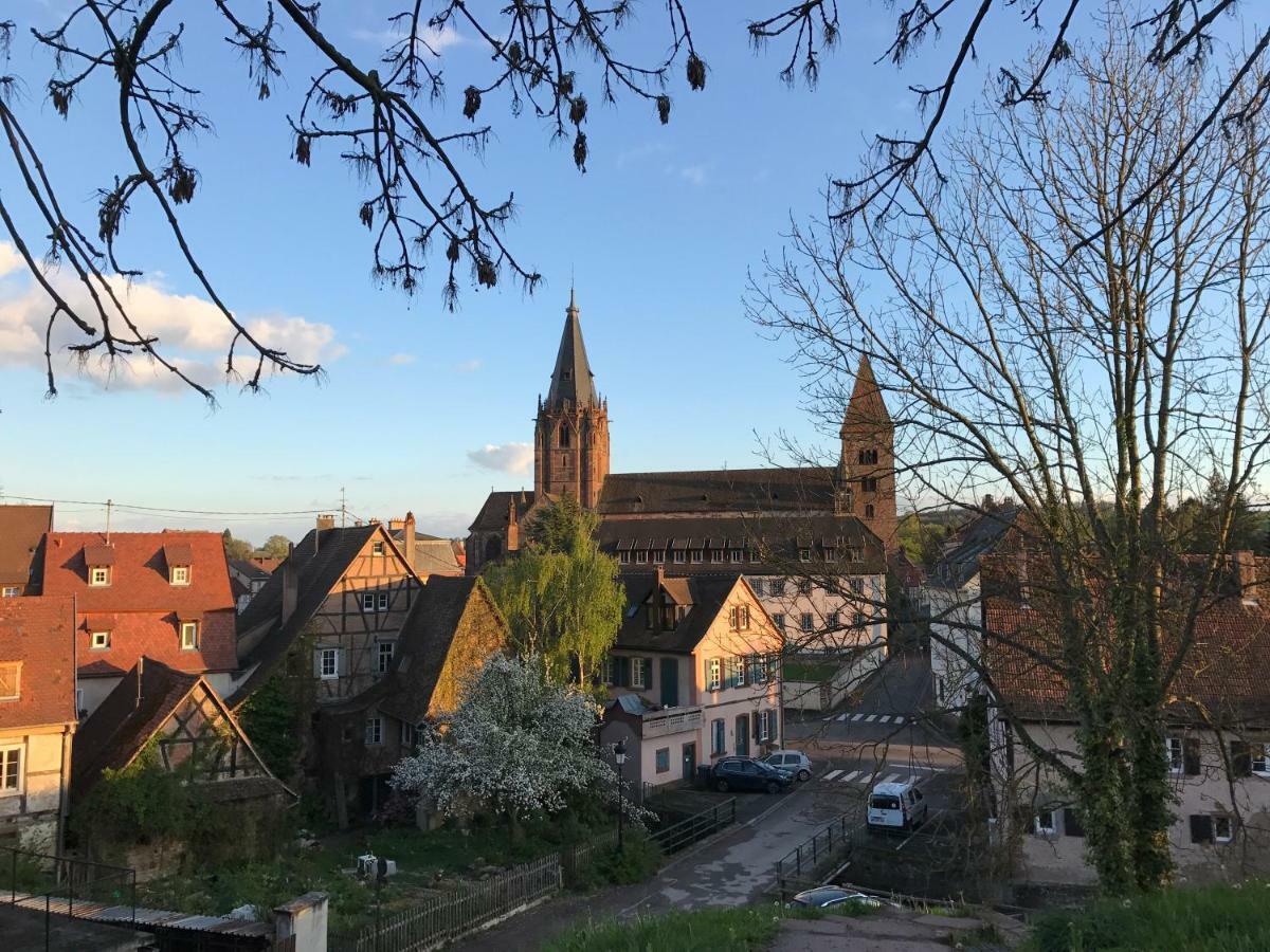 Maison Dietenbeck ウィッサンブール エクステリア 写真